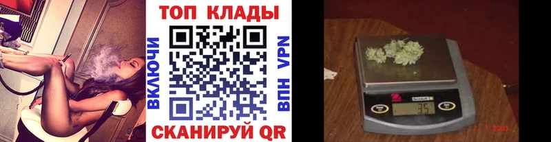 МЕФ Шуя